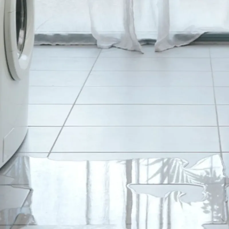 Appliance Leak Cleanup in Savage, MN