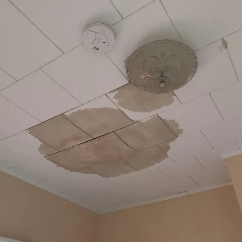 Ceiling Water Damage Repair in Savage, MN